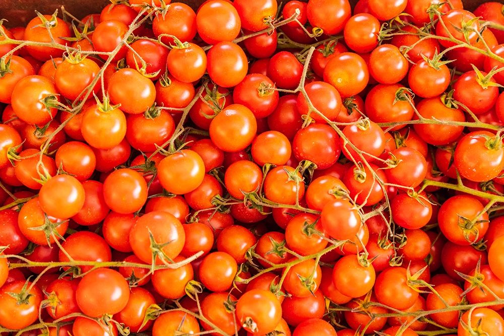 Trapani Province-Trapani Tomatoes for sale at the market in the town of Trapani